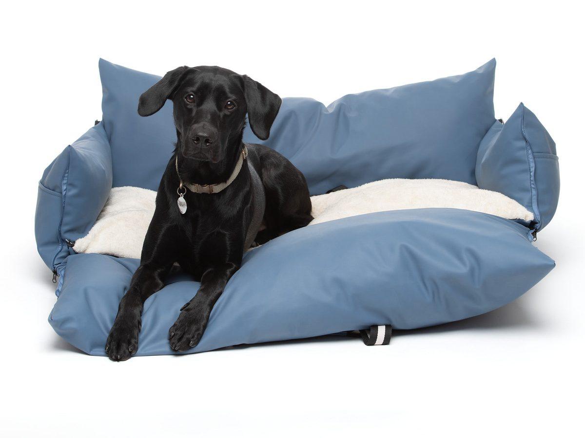 Black Labrador lying on a blue Wagging Rights Dog Dock opened out as a bed